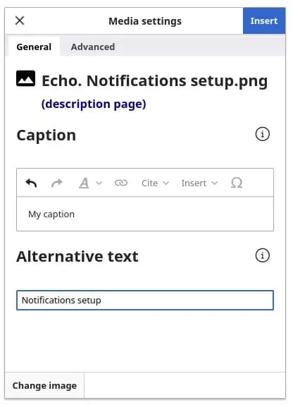 insert image meta data