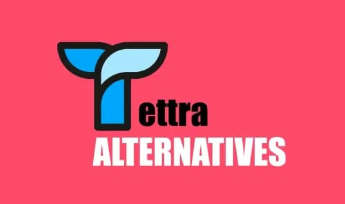 Best Tettra Alternative in 2025